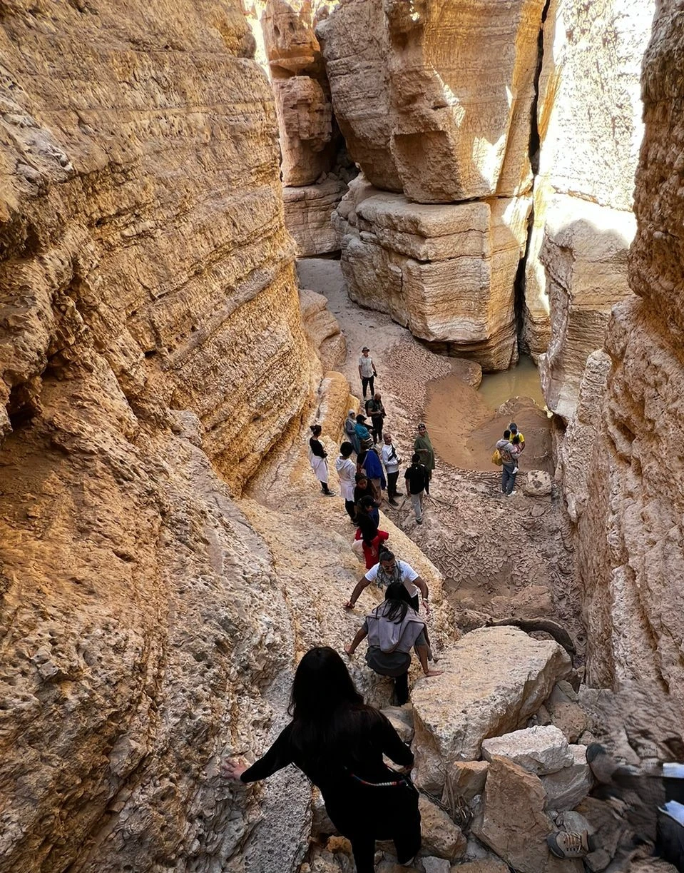 المشي الاستكشافي